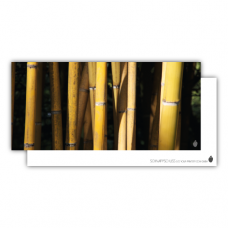 Postkarte | Bambus